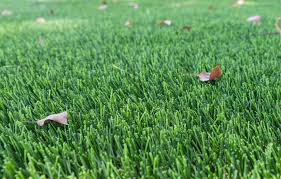 artificial grass