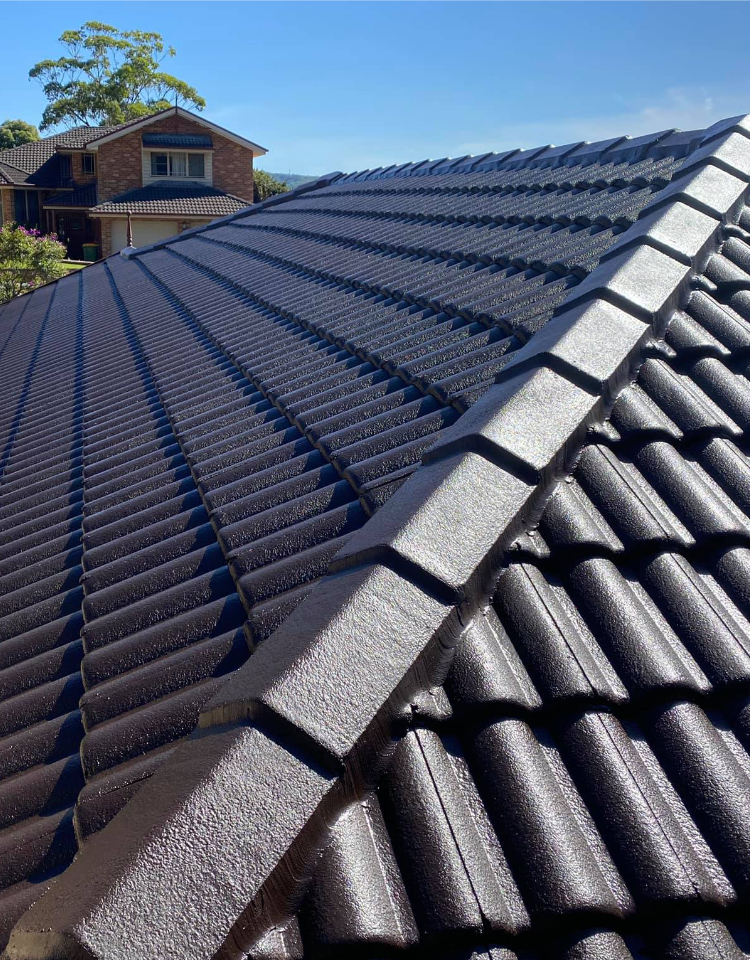 roof restoration