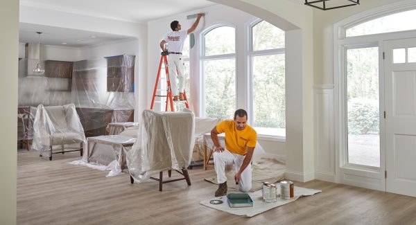 expert painter